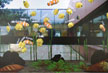 visuel dataquarium